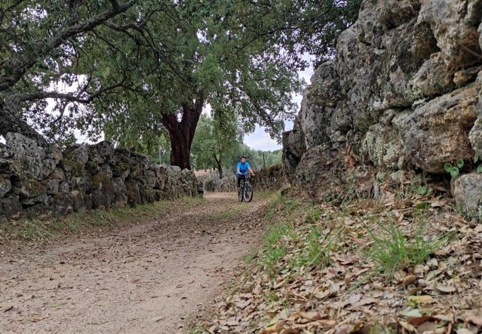 Alto Do Sobreiro Villa Escalos de Cima Екстериор снимка