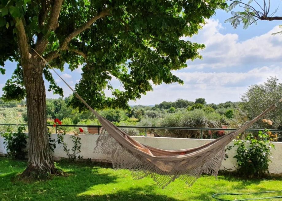 Alto Do Sobreiro Villa Escalos de Cima Екстериор снимка