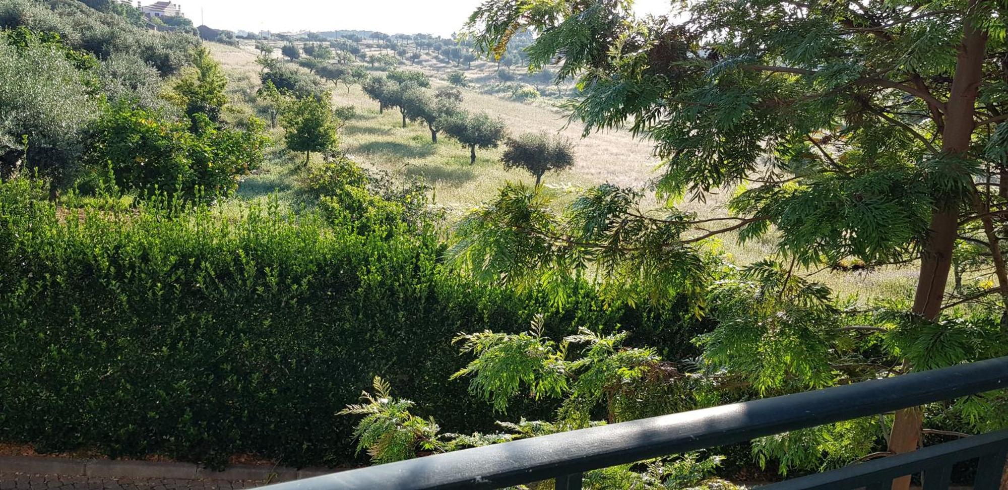 Alto Do Sobreiro Villa Escalos de Cima Екстериор снимка